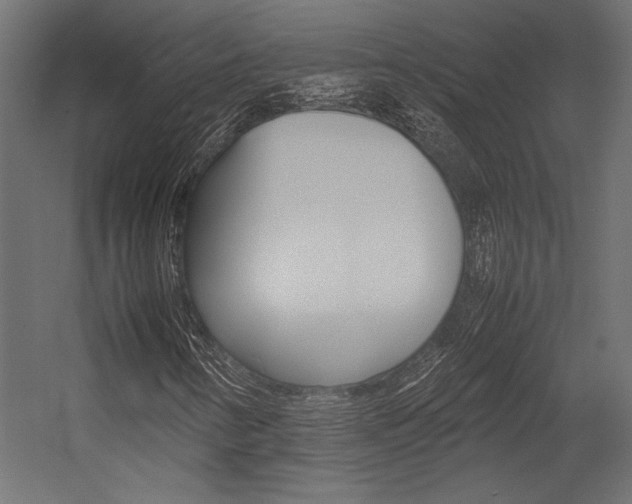 X0000054371346200507290820