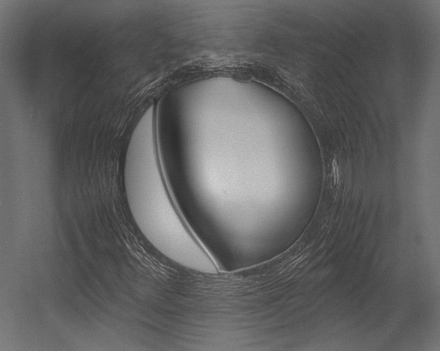 X0000054371348200507290820