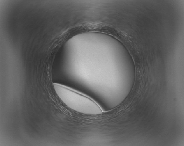 X0000054371349200507290820