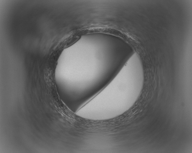 X0000054371351200507290820