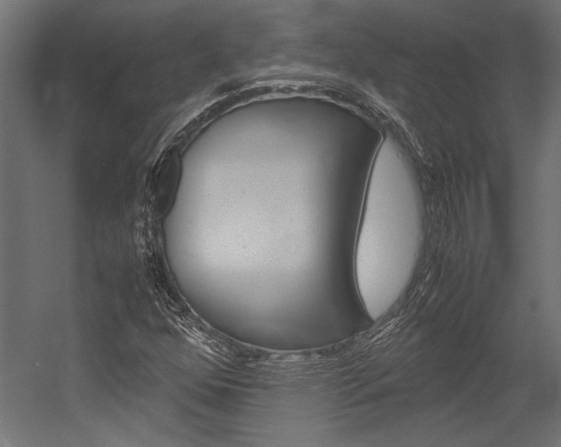 X0000054371352200507290820
