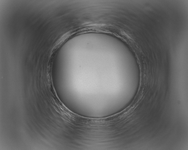 X0000054371354200507290820