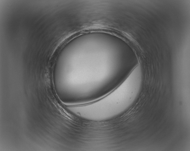 X0000054371356200507290820