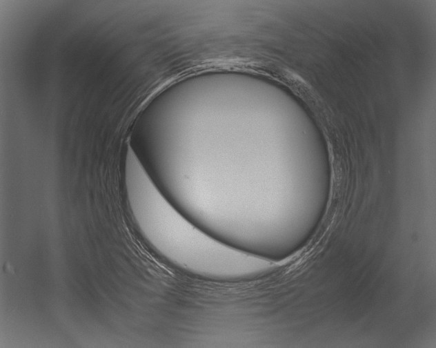 X0000054371361200507290820