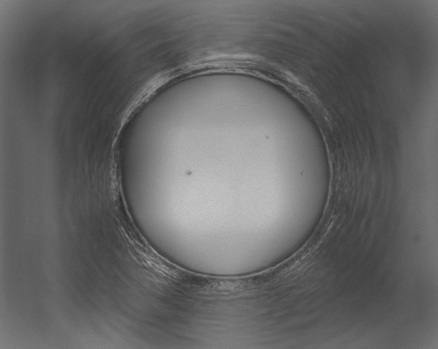 X0000054371362200507290820