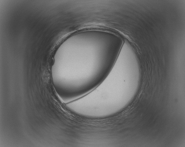 X0000054371363200507290820