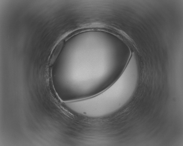 X0000054371364200507290820