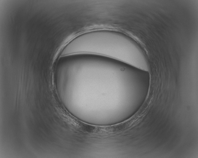 X0000054371365200507290820