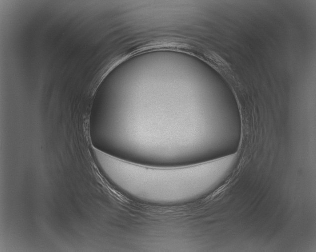 X0000054371369200507290820
