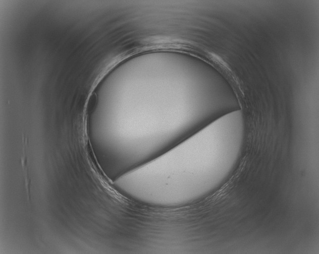 X0000054371370200507290820