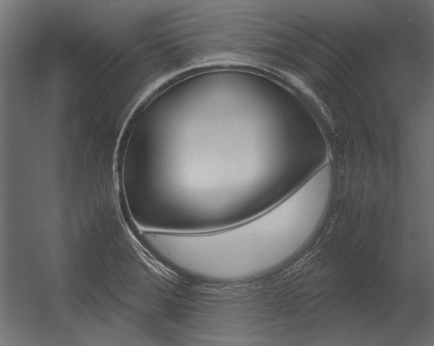 X0000054371372200507290820