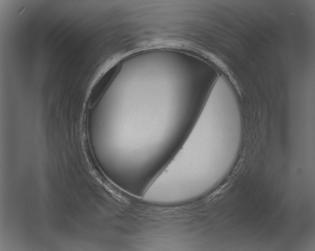 X0000054371373200507290820