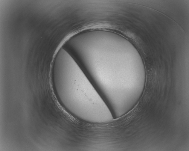 X0000054371374200507290820