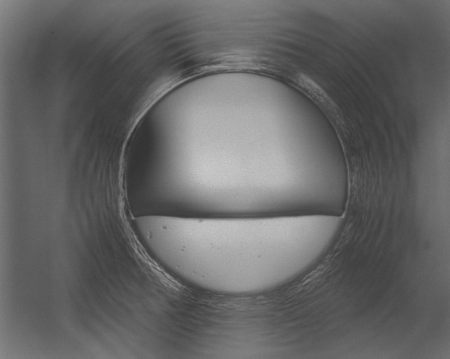 X0000054371378200507290820