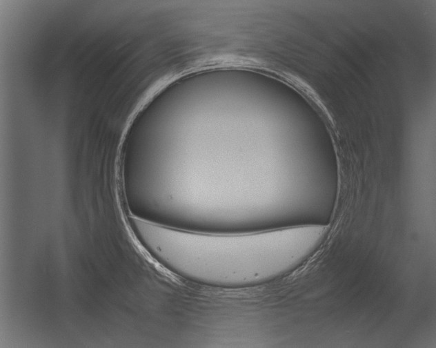 X0000054371381200507290820