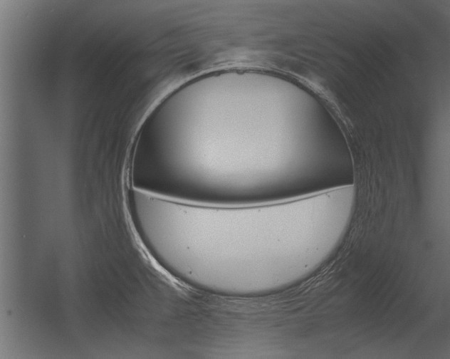 X0000054371383200507290819