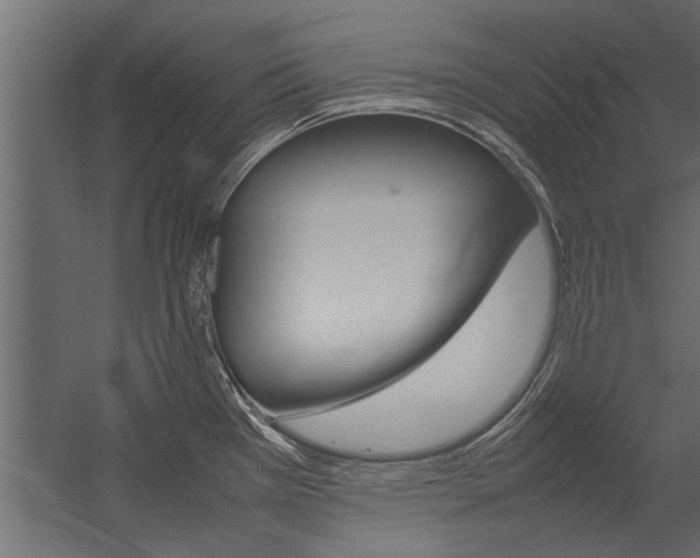 X0000054371385200507290819