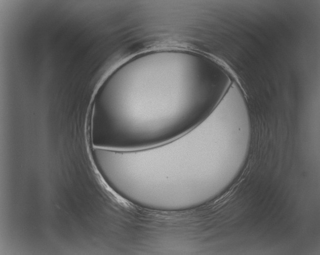 X0000054371387200507290819