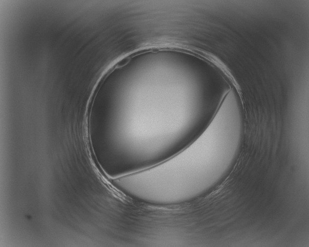 X0000054371388200507290819