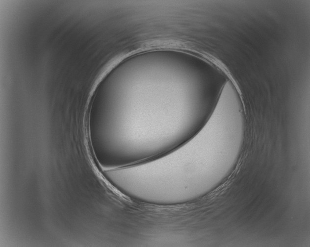 X0000054371389200507290819