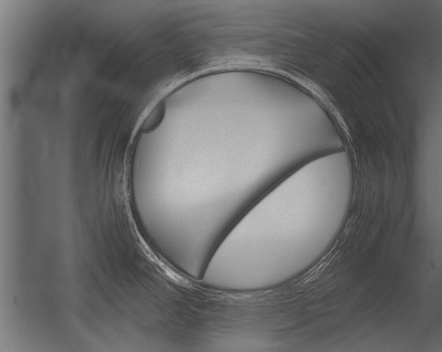 X0000054371390200507290819