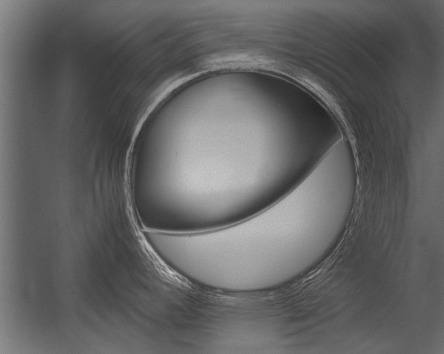 X0000054371392200507290819