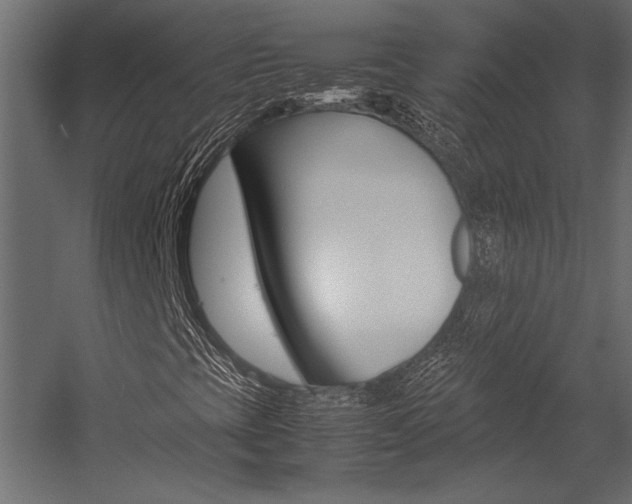 X0000054371393200507290819