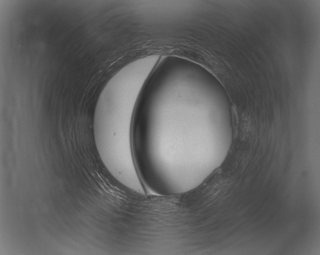 X0000054371394200507290819