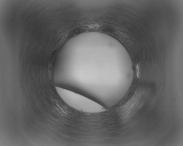 X0000054371395200507290819