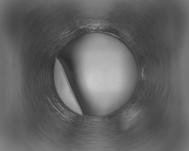 X0000054371396200507290819