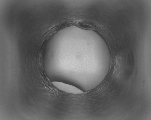 X0000054371397200507290819