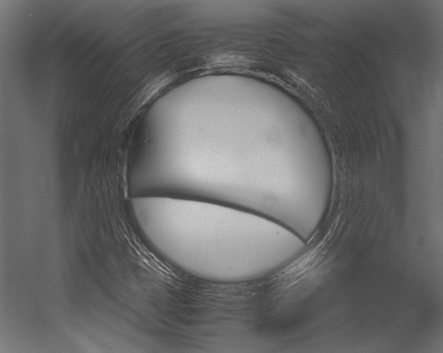 X0000054371401200507290819