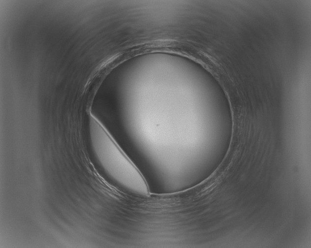 X0000054371402200507290819