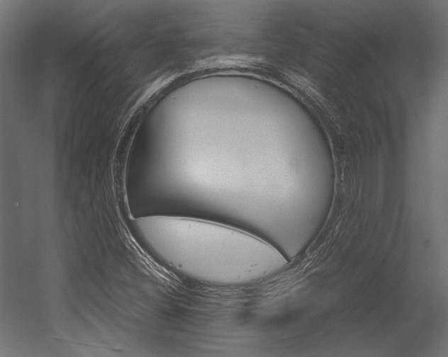 X0000054371404200507290819