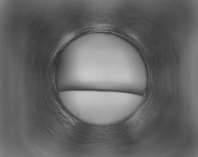 X0000054371405200507290819