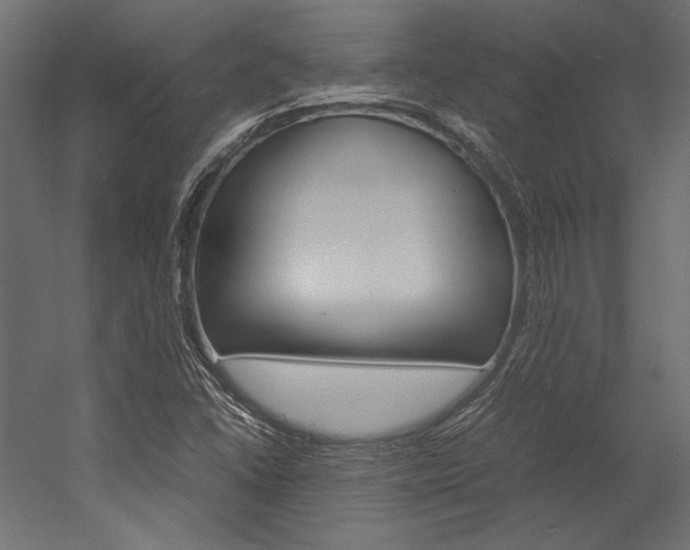 X0000054371406200507290819