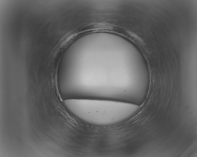 X0000054371407200507290819