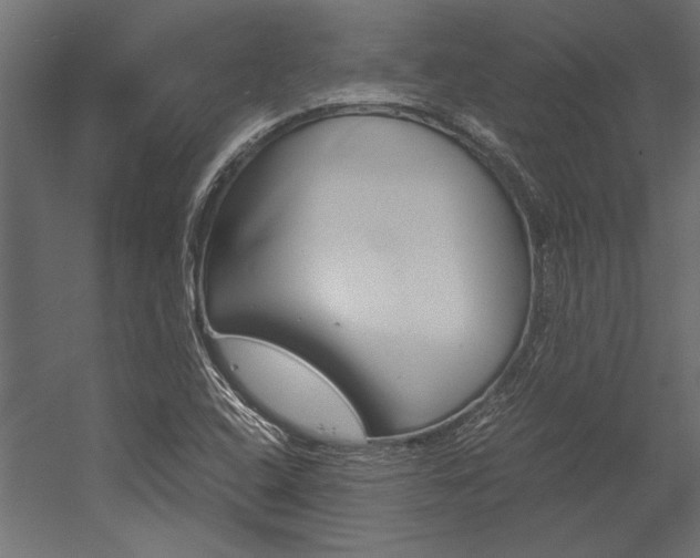 X0000054371408200507290819