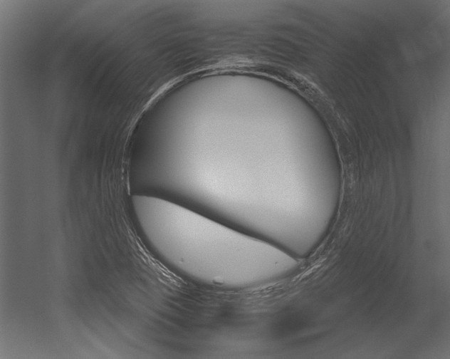 X0000054371409200507290819
