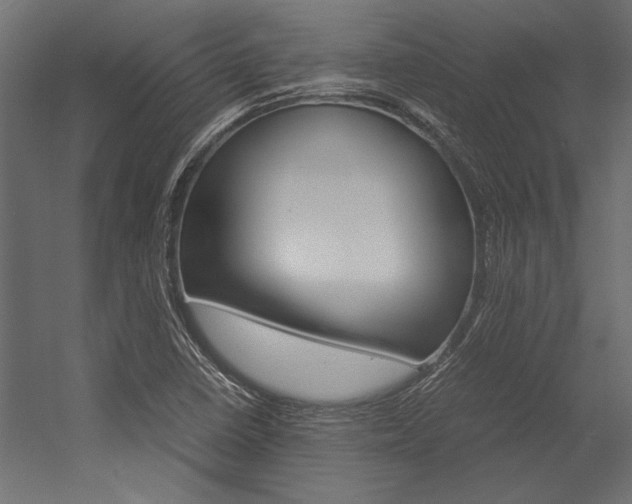 X0000054371410200507290819