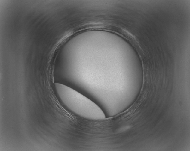 X0000054371411200507290819