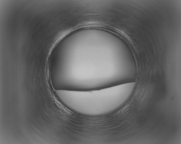 X0000054371413200507290819