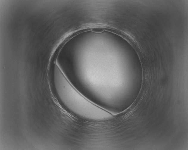 X0000054371414200507290819