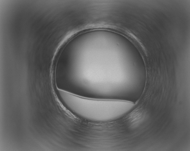 X0000054371416200507290819