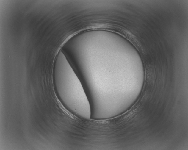 X0000054371417200507290819