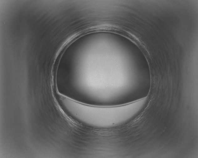 X0000054371418200507290819