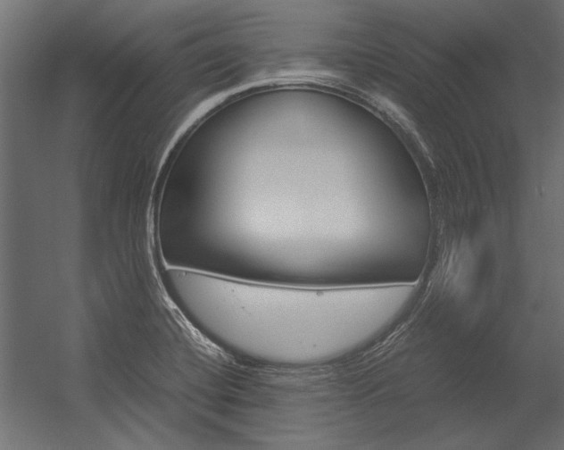 X0000054371420200507290819