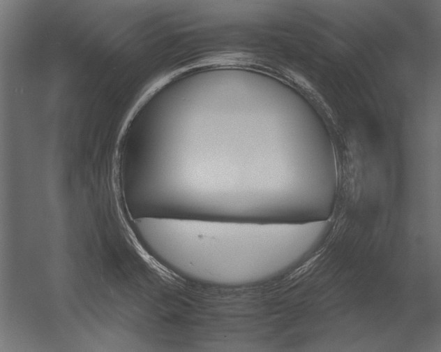 X0000054371421200507290819