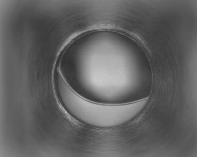 X0000054371422200507290819