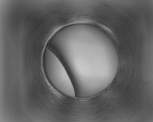 X0000054371423200507290819